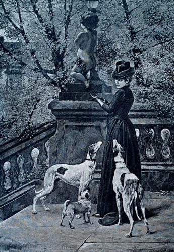 Zeitung 1890 illustrierte buch - 1890,