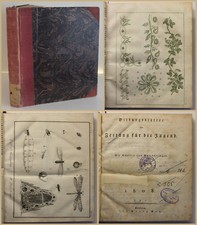 Bildungsblätter oder Zeitung